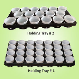 Holding Trays