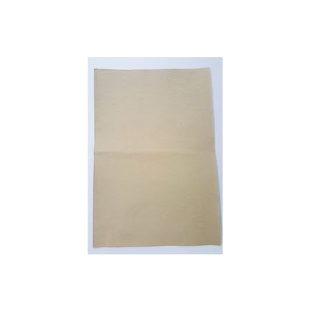 Seed Germination Paper